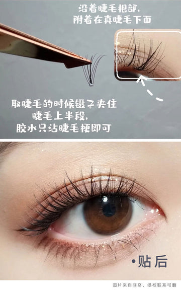 9/10/11mm Mixed D Curve False Eyelashes